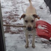 Chera Roovers Greene