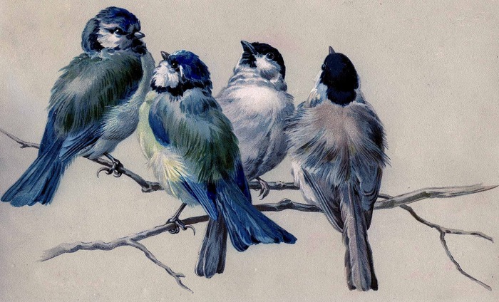 Goodreads profile picture for @bird