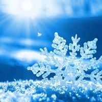 Michelle Bendus-Lambert