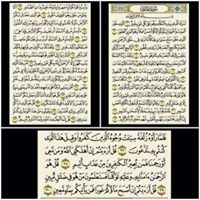 وعمر ام محمد