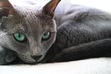 Jitka