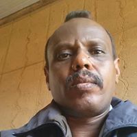 أبوبكر هارون