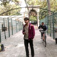 Hussam Alrefai