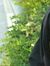 Irfan B...