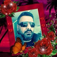 محمود حبيب