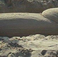 عبدالعزيزعبدالله الربيعي