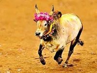 மதுரை ரவி