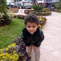 Elhamy Adel