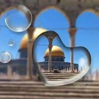 أبرار إبراهيم