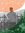 Ankit B...