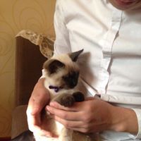 Эрхбилэг Рхүүлэ