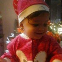 المقداد السلفى