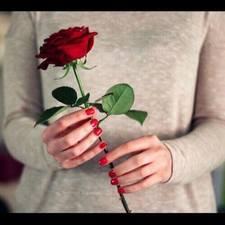 Noha Wael