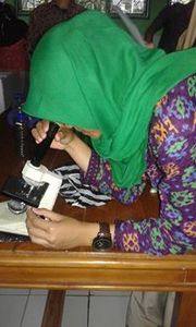 Dinar Time