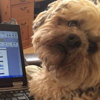 Danielle Sheetenhelm