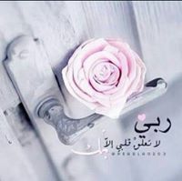 رائق الشهد