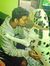 Karthikeyan SD