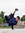 Aditia ...