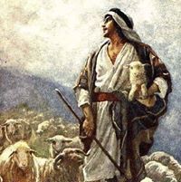 شكرجي شكرجي