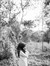 nur azr