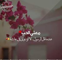 Alaa Omar