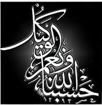 Sayed Ahamed Gaballah