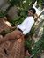 Balaji ...