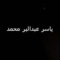 ياسر عبد البر
