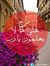 Shahina...