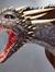 Dragon ...