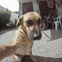 الناسك جلال