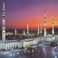 خليفة الرأي