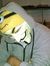 Jake Ca...