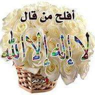 مى عبد النبى