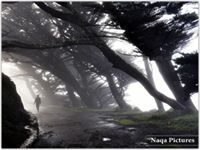 عبدالمنعم الجطيلي