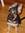 Neil Gallivan | 10 comments
