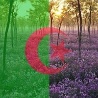 بلاذ التقشف