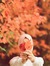 Ayse Nur