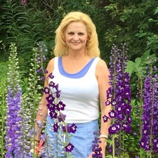Pam Carini