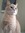 Chandra Gray | 19 comments