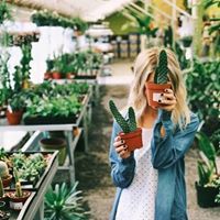 معززة الحياة