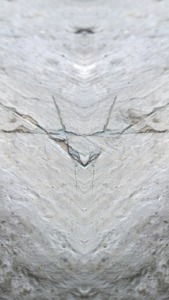 Sourav