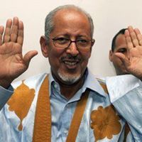 المصطفى الشنقيطي