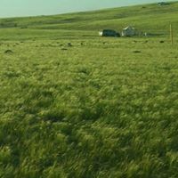 حاسن آل علي