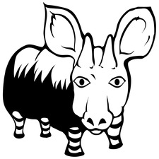 funglr