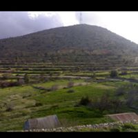 سعيد السالم