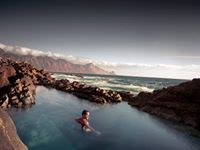 Michael Van Der Plaetsen