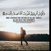 Mohamed Mohamed