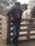 Ravi Sh...