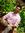 Yogesh ...
